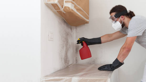 Professional Mold Remediation technician working in Alanson, MI